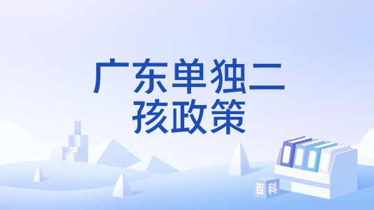 广东单独二孩政策