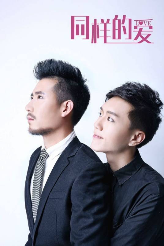 同样的爱（2015年杨欢执导的剧情电影）