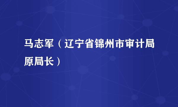 马志军（辽宁省锦州市审计局原局长）
