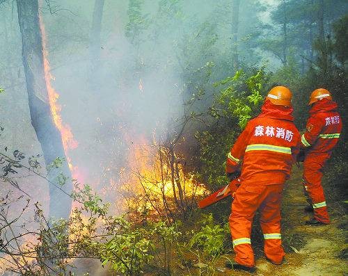 4.3桂林尧山山火事故