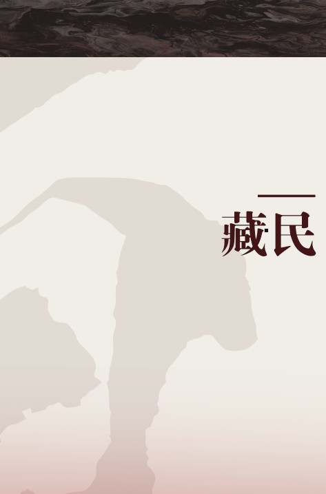 藏民（2015年人民文学出版社出版的图书）
