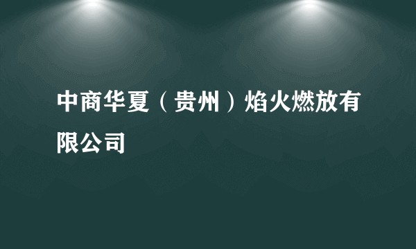 中商华夏（贵州）焰火燃放有限公司