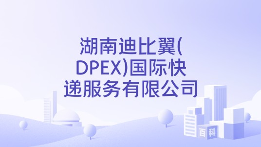 湖南迪比翼(DPEX)国际快递服务有限公司