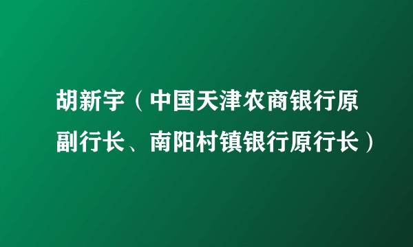 胡新宇（中国天津农商银行原副行长、南阳村镇银行原行长）