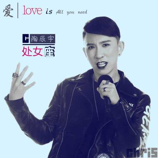 处女座（陶辰宇演唱歌曲）
