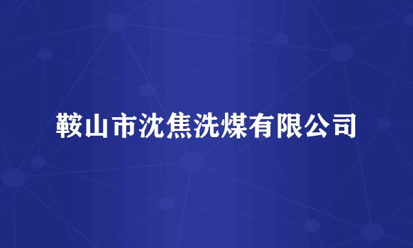 鞍山市沈焦洗煤有限公司