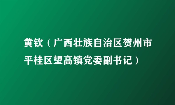 黄钦（广西壮族自治区贺州市平桂区望高镇党委副书记）
