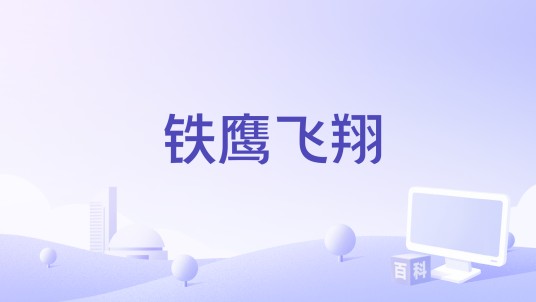 铁鹰飞翔