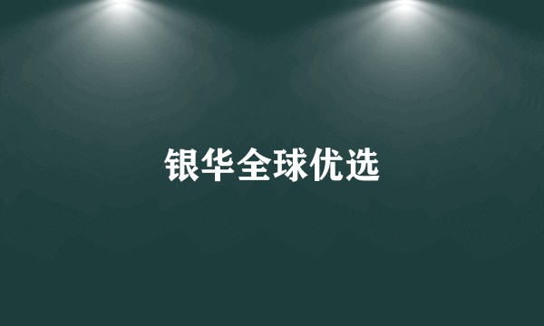 银华全球优选