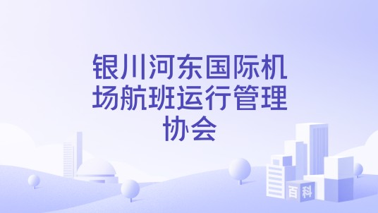 银川河东国际机场航班运行管理协会