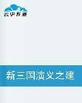 新三国演义之建安十三年