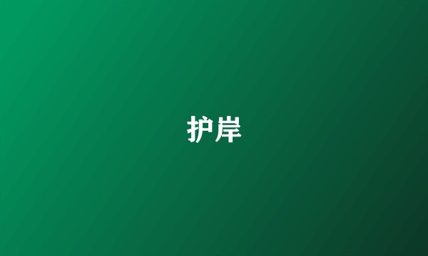 护岸