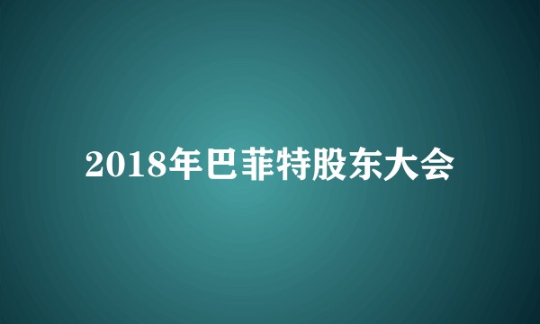 2018年巴菲特股东大会