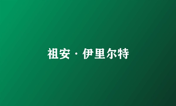 祖安·伊里尔特