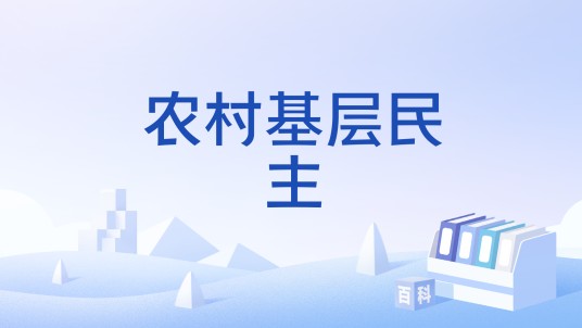 农村基层民主