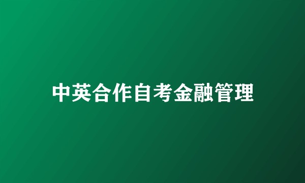 中英合作自考金融管理