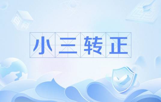 小三转正（网络用语）