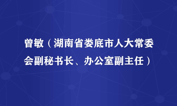 曾敏(湖南省娄底市人大常委会副秘书长、办公室副主任)
