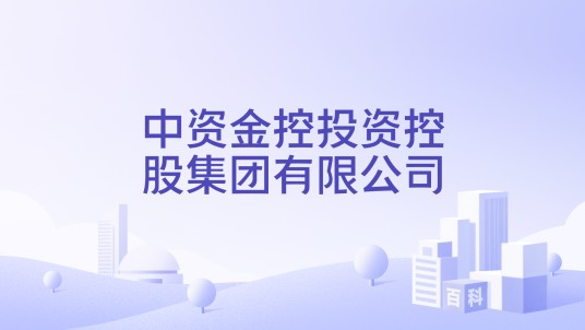 中资金控投资控股集团有限公司