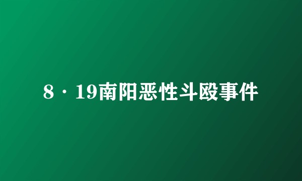 8·19南阳恶性斗殴事件