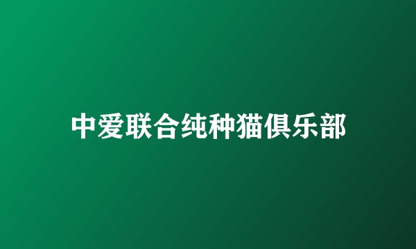 中爱联合纯种猫俱乐部