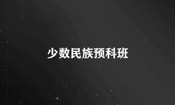 少数民族预科班
