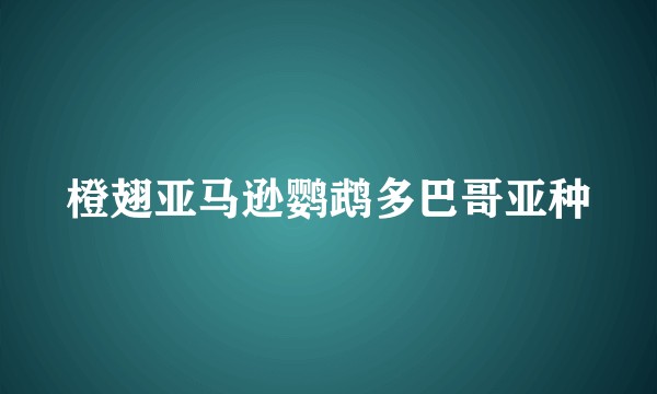 橙翅亚马逊鹦鹉多巴哥亚种