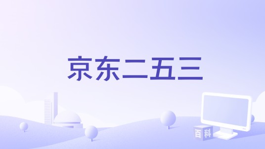 京东二五三