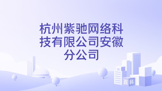 杭州紫驰网络科技有限公司安徽分公司