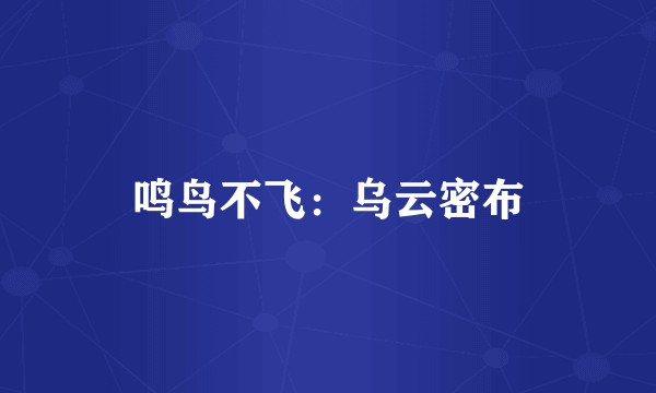 鸣鸟不飞：乌云密布