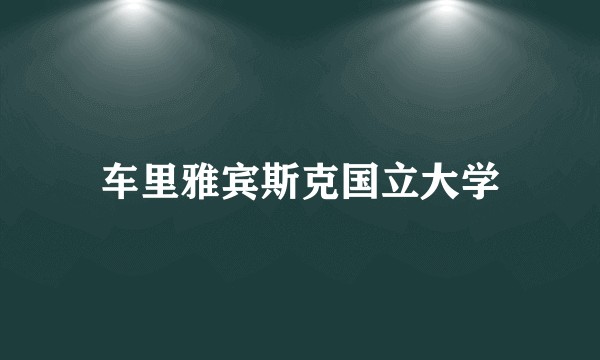 车里雅宾斯克国立大学