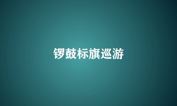 锣鼓标旗巡游