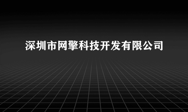 深圳市网擎科技开发有限公司