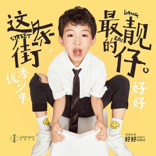 这条街最靓的仔（好好（张轩睿）演唱歌曲）