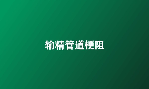 输精管道梗阻