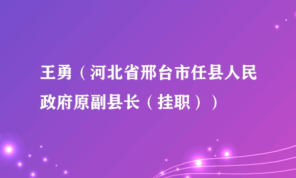 王勇(河北省邢台市任县人民政府原副县长(挂职))