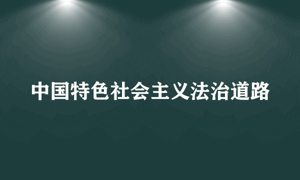 中国特色社会主义法治道路