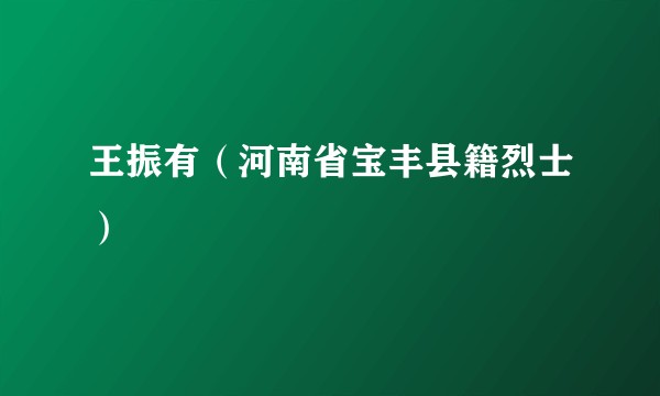 王振有（河南省宝丰县籍烈士）