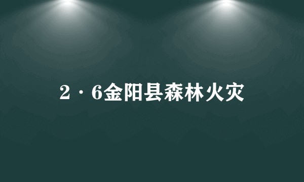 2·6金阳县森林火灾