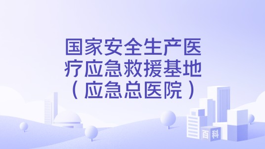 国家安全生产医疗应急救援基地（应急总医院）