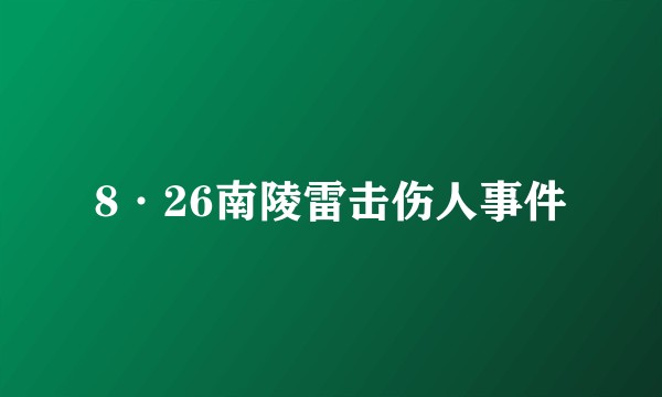 8·26南陵雷击伤人事件