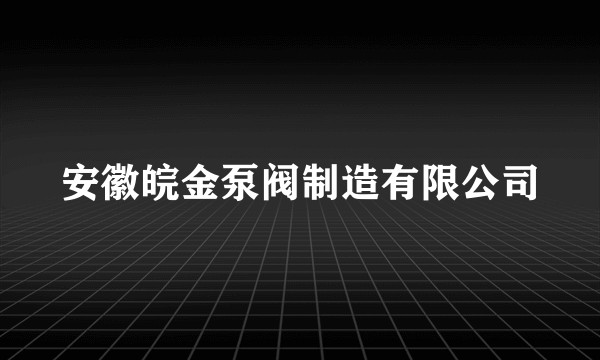 安徽皖金泵阀制造有限公司