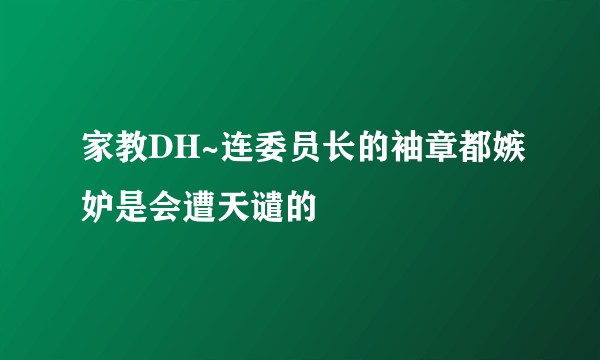 家教DH~连委员长的袖章都嫉妒是会遭天谴的