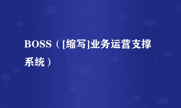 BOSS（[缩写]业务运营支撑系统）