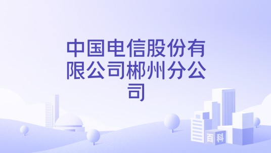 中国电信股份有限公司郴州分公司