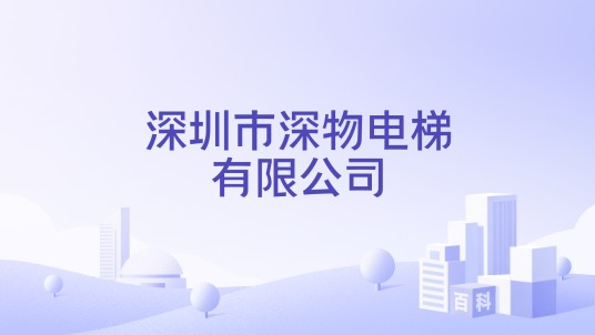 深圳市深物电梯有限公司