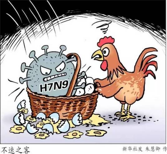 2013年H5N2禽流感疫情
