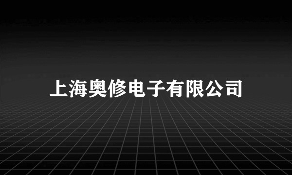 上海奥修电子有限公司