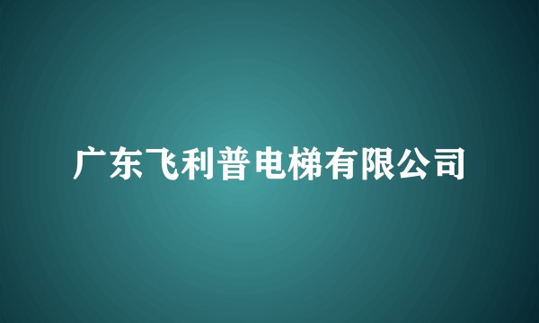 广东飞利普电梯有限公司