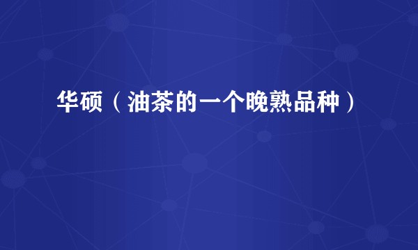 华硕（油茶的一个晚熟品种）
